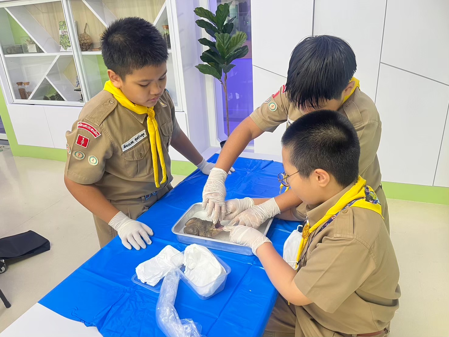 รูป 3
