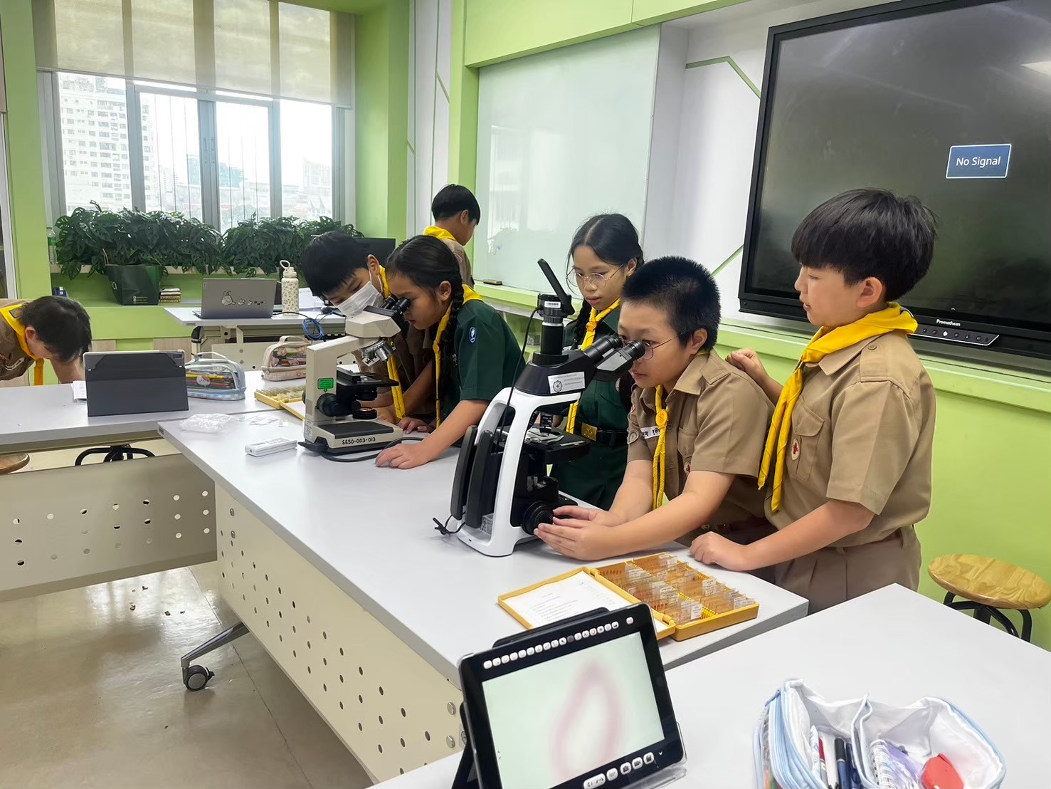 รูป 1